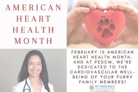 February is Heart Health Month