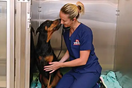 Next-Level Care for Canines (and Cats, Too!)