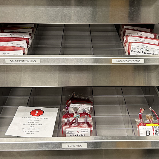 Shelves in a veterinary blood bank holding labeled blood bags and a notice.
