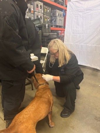 Living Our Core Value of Integrity: Supporting the Search Dog Foundation