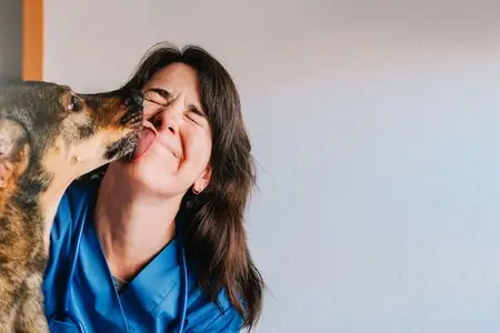 Ibuprofen Toxicity in Dogs: What You Need to Know Immediately