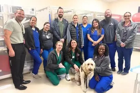 Living Our Core Value of Community: Protecting K9s