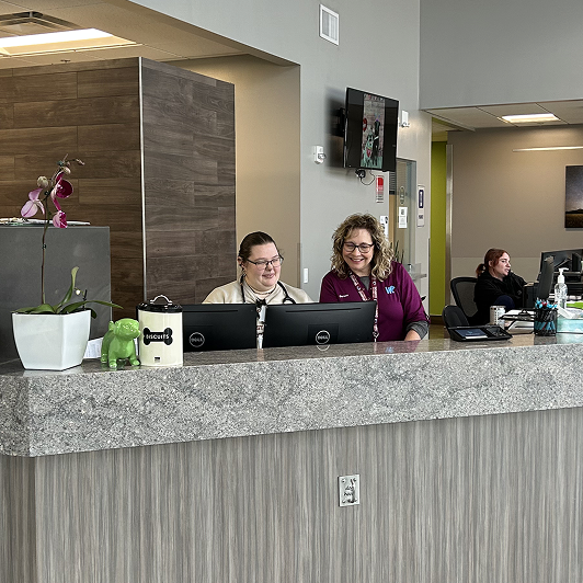 Veterinary hospital reception with staff at computers and a speckled countertop.