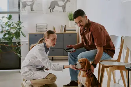 Cloudy Eyes in Dogs: Is It a True Emergency?