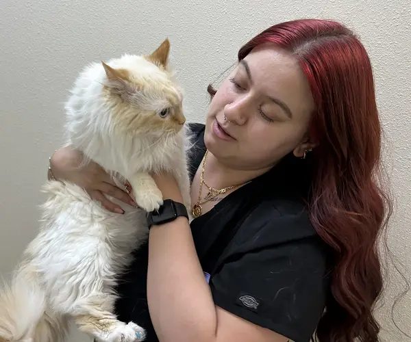 A vet with long red hair holds up a fluffy white cat.