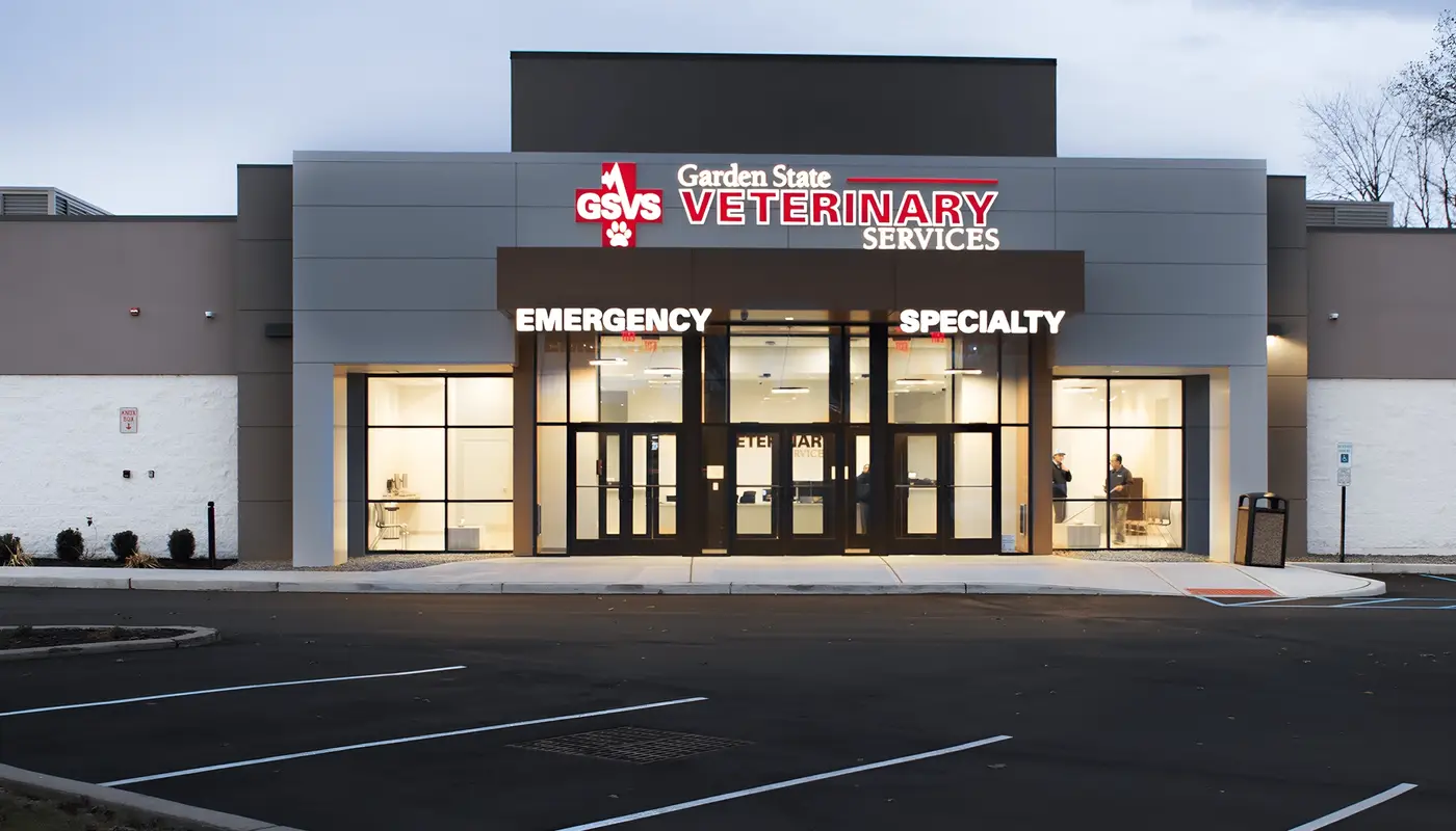 Front view of Garden State Veterinary Services building with illuminated signage at twilight.