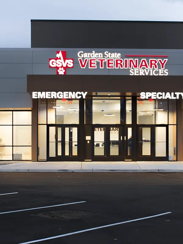 Front view of Garden State Veterinary Services building with illuminated signage at twilight.