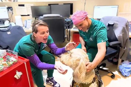 Living Our Core Value of Community: Protecting K9s