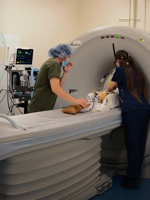 Two people caring for a small brown dog as it goes through the MRI machine.