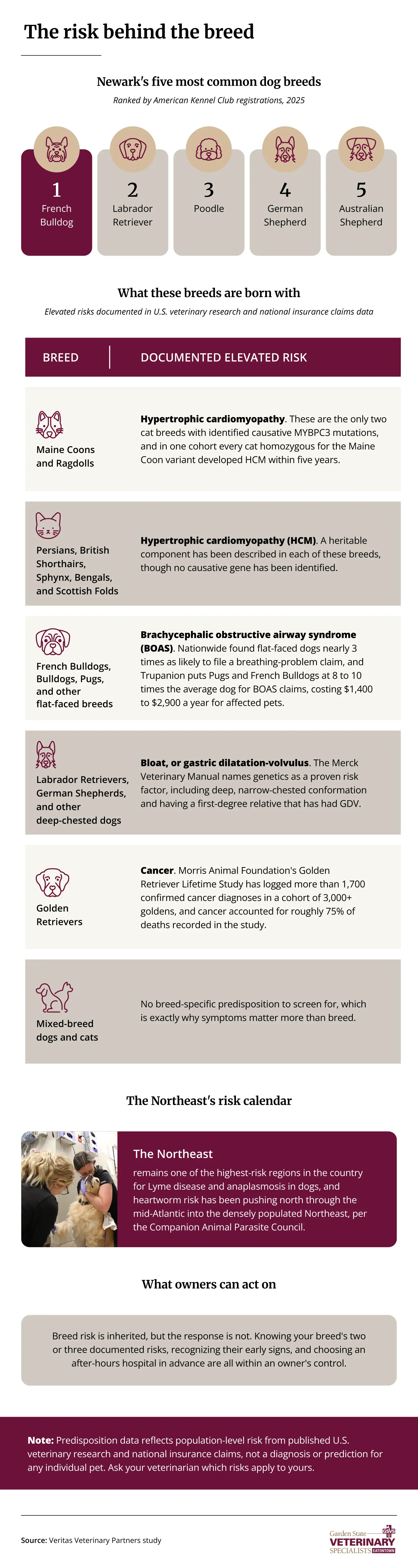 Infographic ranking Newark's top five dog breeds and health risks each breed is born with, plus regional pest data.