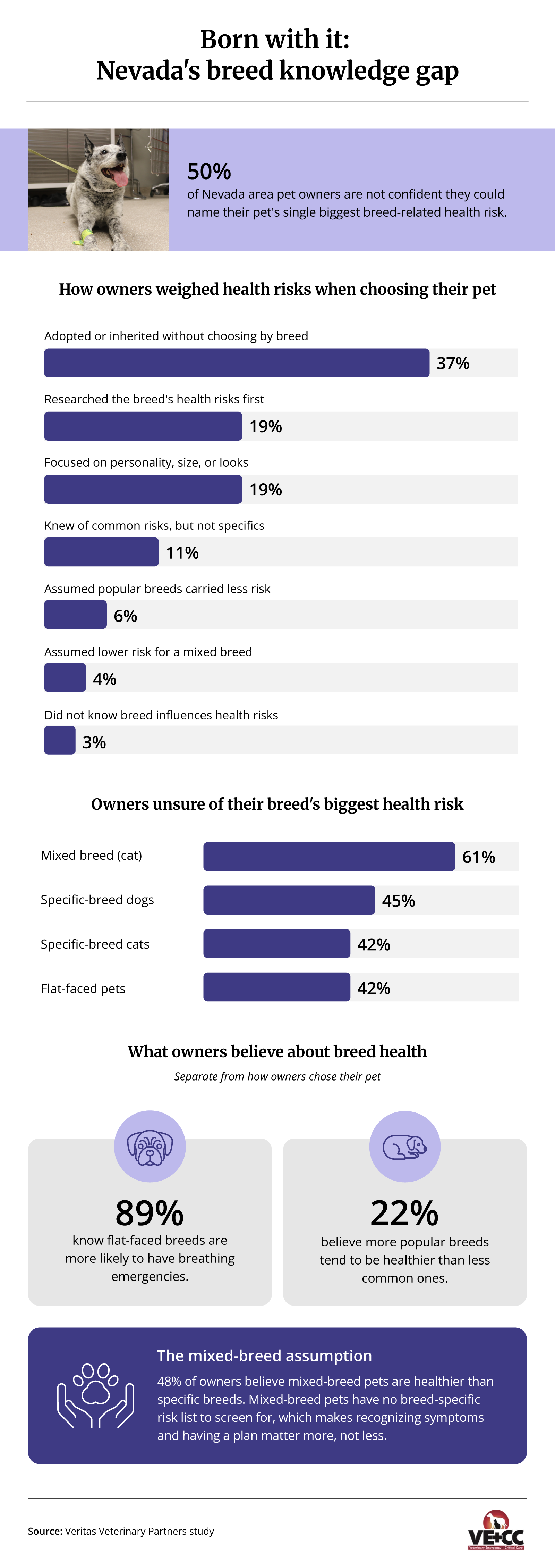 Infographic ranking Las Vegas's top five dog breeds and the health risks each breed is born with, plus local heat data.