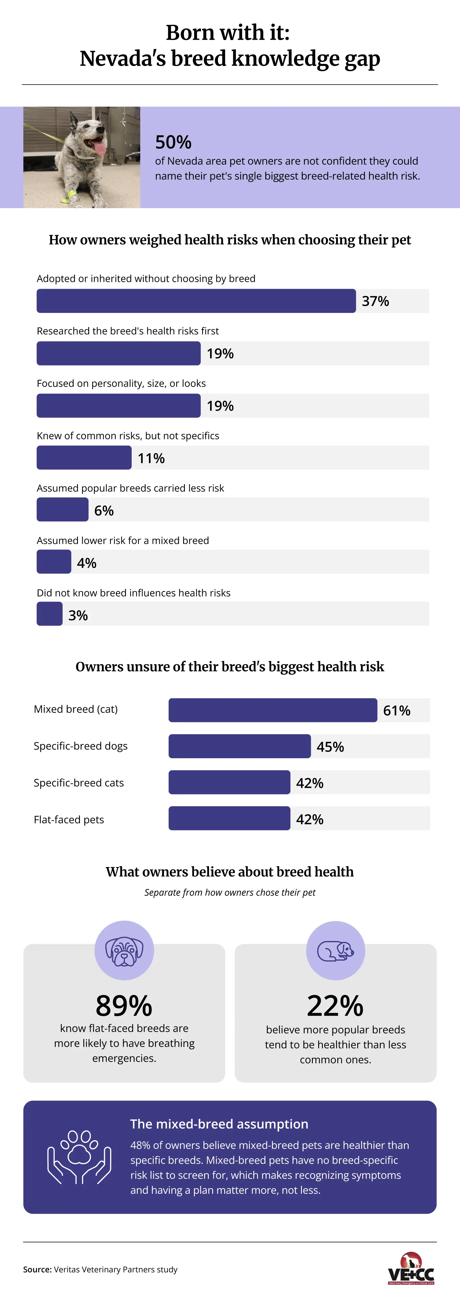 Infographic ranking Las Vegas's top five dog breeds and the health risks each breed is born with, plus local heat data.