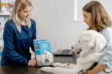Can Dogs Eat Mushrooms: When Is It a Vet Emergency?