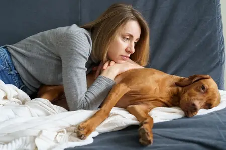 Blood in Dog Stool: Is It an Emergency?
