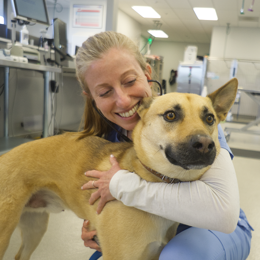 A vet professional hugs a cream dog with a black nose in a clinical setting.