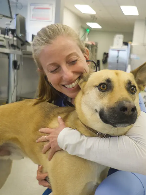 A vet professional hugs a cream dog with a black nose in a clinical setting.
