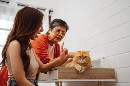 Cystitis in Cats: Recognizing a True Urinary Emergency