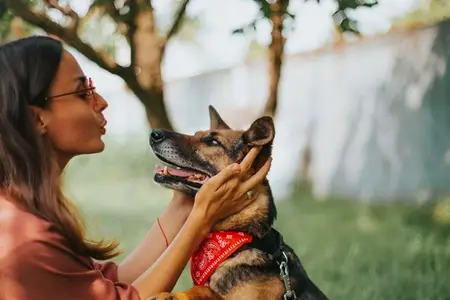 Congestive Heart Failure in Dogs: Recognizing Urgent Signs