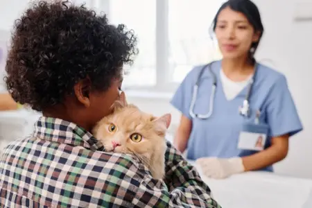 Navigating Pet Emergencies: When to Visit Urgent Care