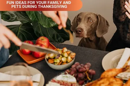 Fun Ideas for Your Family and Pets During Thanksgiving