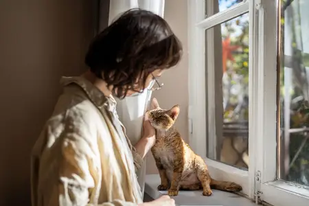 Unexplained Weight Loss in Cats: Is It an Emergency?