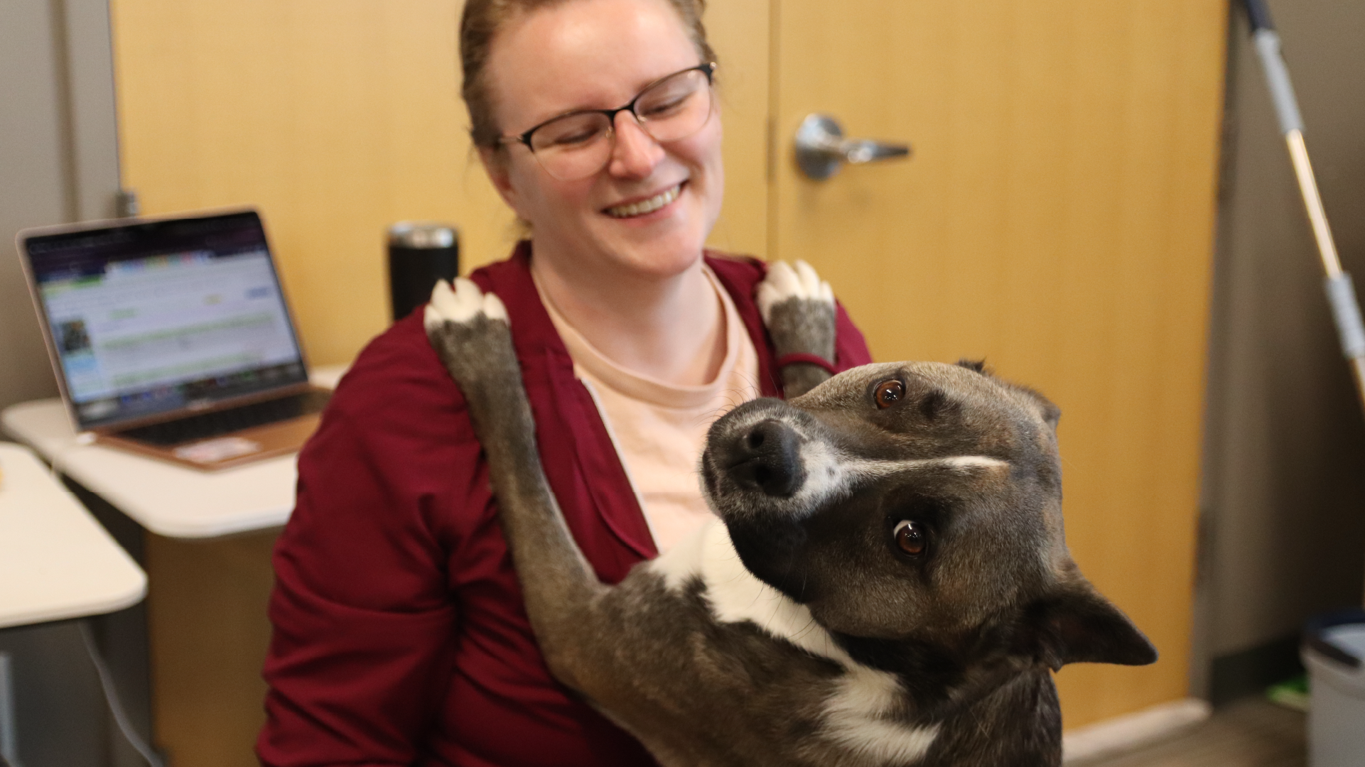 2026 breed risk report: The pets most likely to need emergency care in Orange County