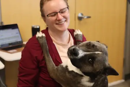 2026 breed risk report: The pets most likely to need emergency care in Orange County