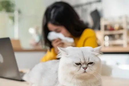 Renal Failure in Cats: Is It an Emergency?