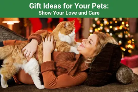 Gift Ideas for Your Pets: Show Your Love and Care