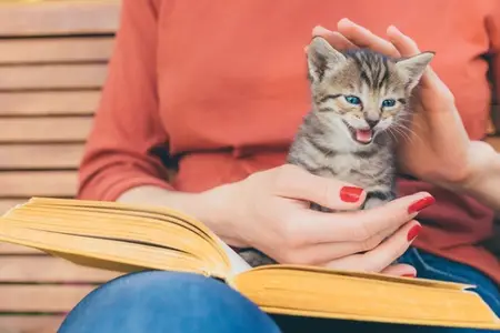 Fading Kitten Syndrome: Is It a Veterinary Emergency?