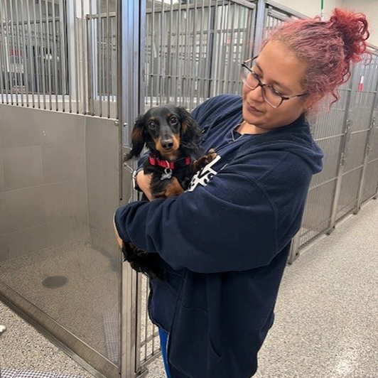Woman in a blue sweatshirt holds a small brown dog with a red collar in front of a row of dog kennels.