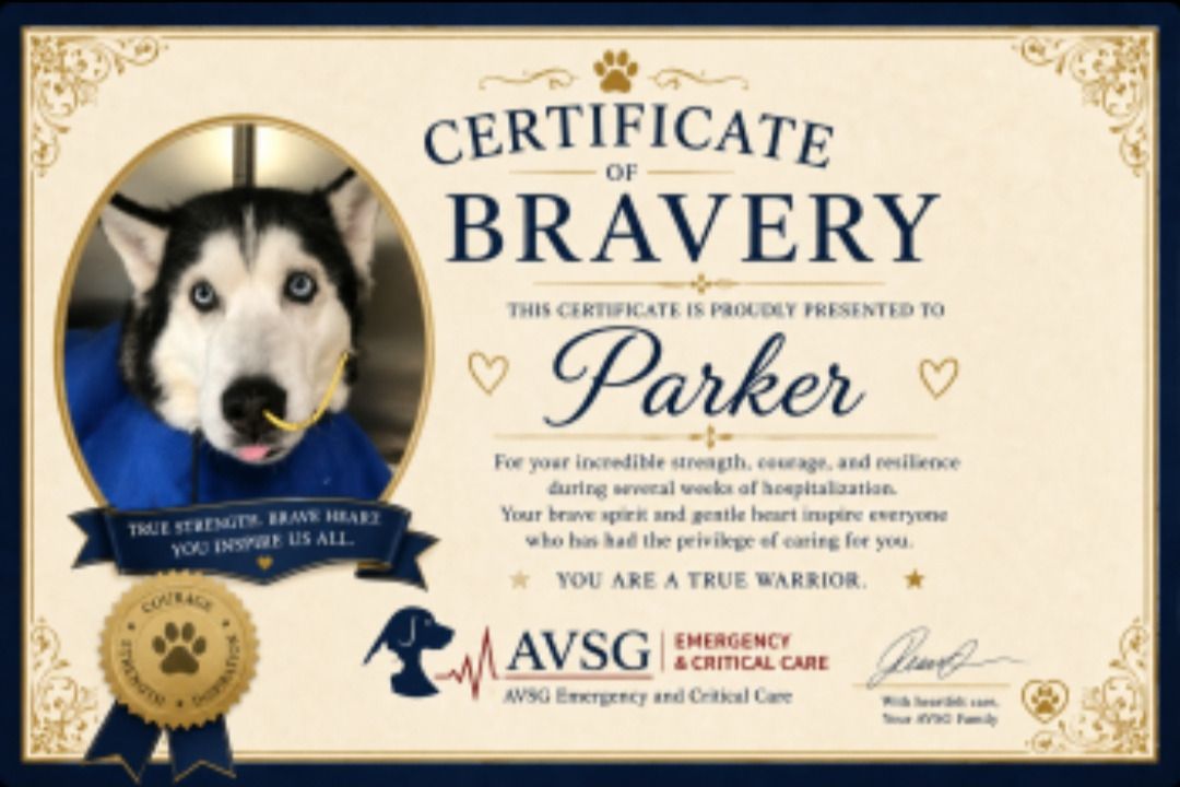 Living Our Core Value of Compassion: Parker’s Care