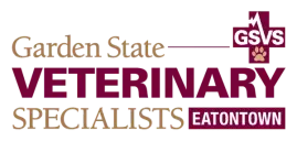 GSVS Eatontown logo.