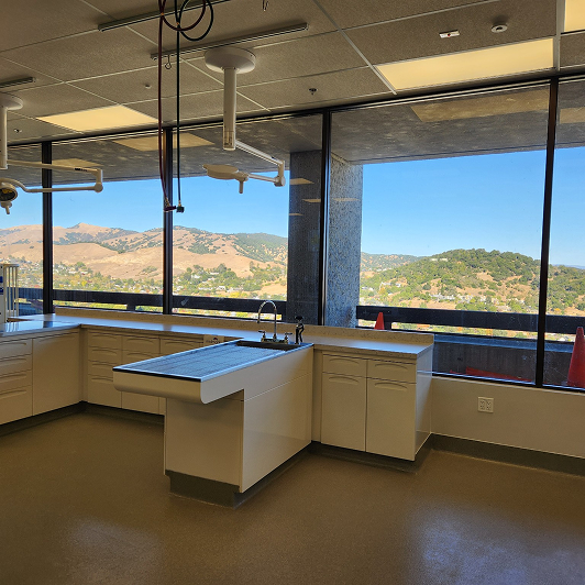 Veterinary exam room with large windows overlooking hills.