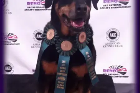 Stem Cell Success Story!