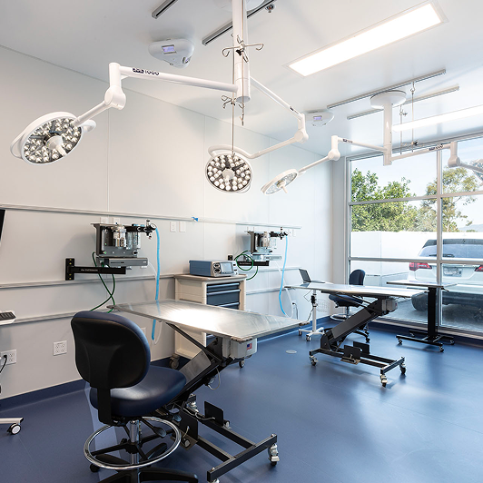A veterinary clinic exam room.