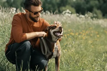 Fox Tail Dangers for Dogs: Recognizing the Emergency