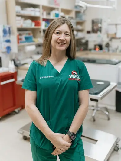 Veterinary Emergency + Critical Care | 24/7 Emergency Vets in Las Vegas