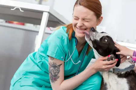 Why Does My Dog Have a Dry Cough Then Gag?
