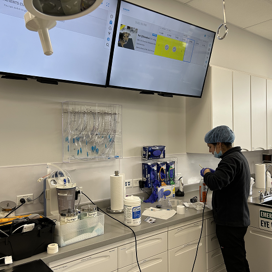 Veterinary professional in a clinical setting with medical equipment around.