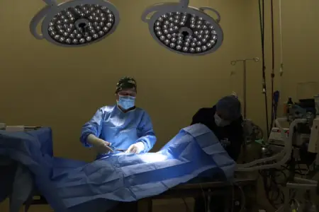 Expanding Our Specialty Veterinary Services