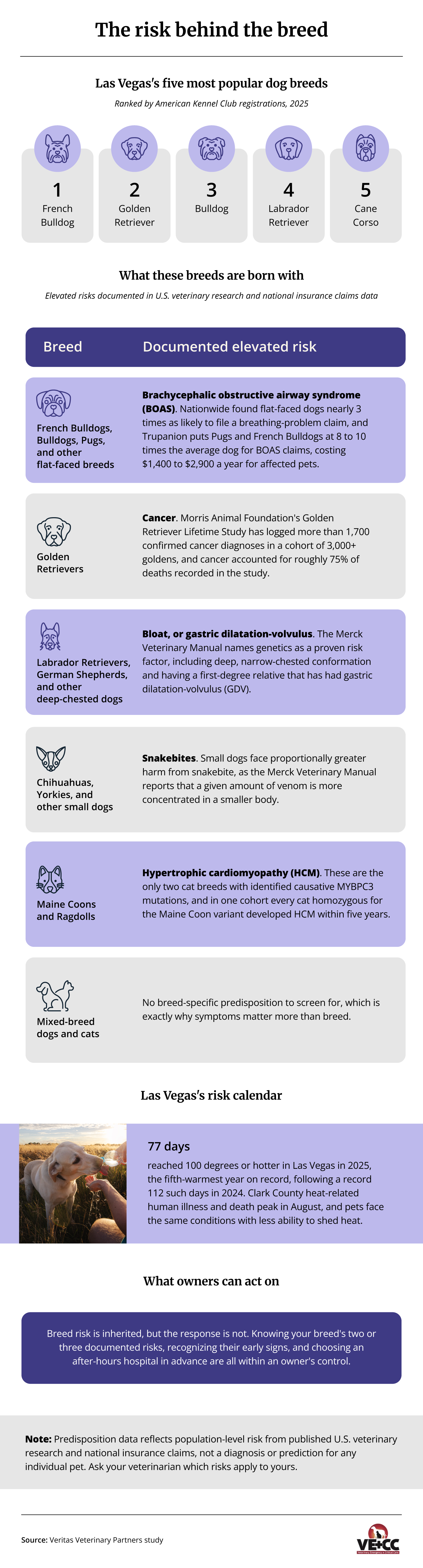 Infographic ranking the Nevada pets with the highest need for emergency care and the most common causes of local pet ER visits.