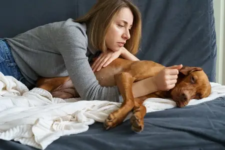 Dog's Stomach Gurgling and Not Eating: Is It an Emergency?