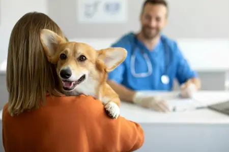Hydrogen Peroxide for Dogs: Is It a Safe Emergency Treatment?