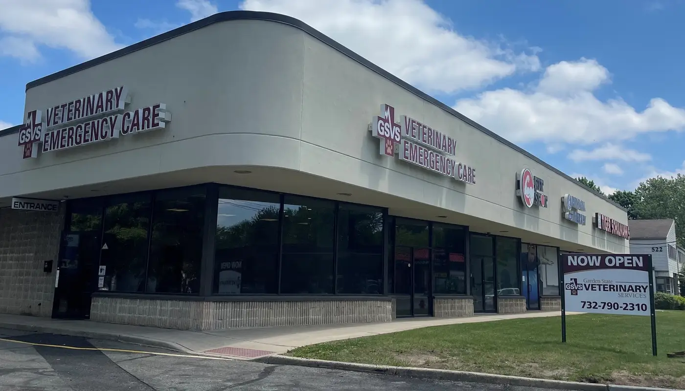 Corner exterior of a veterinary emergency care building with "Now Open" signage on the front lawn.
