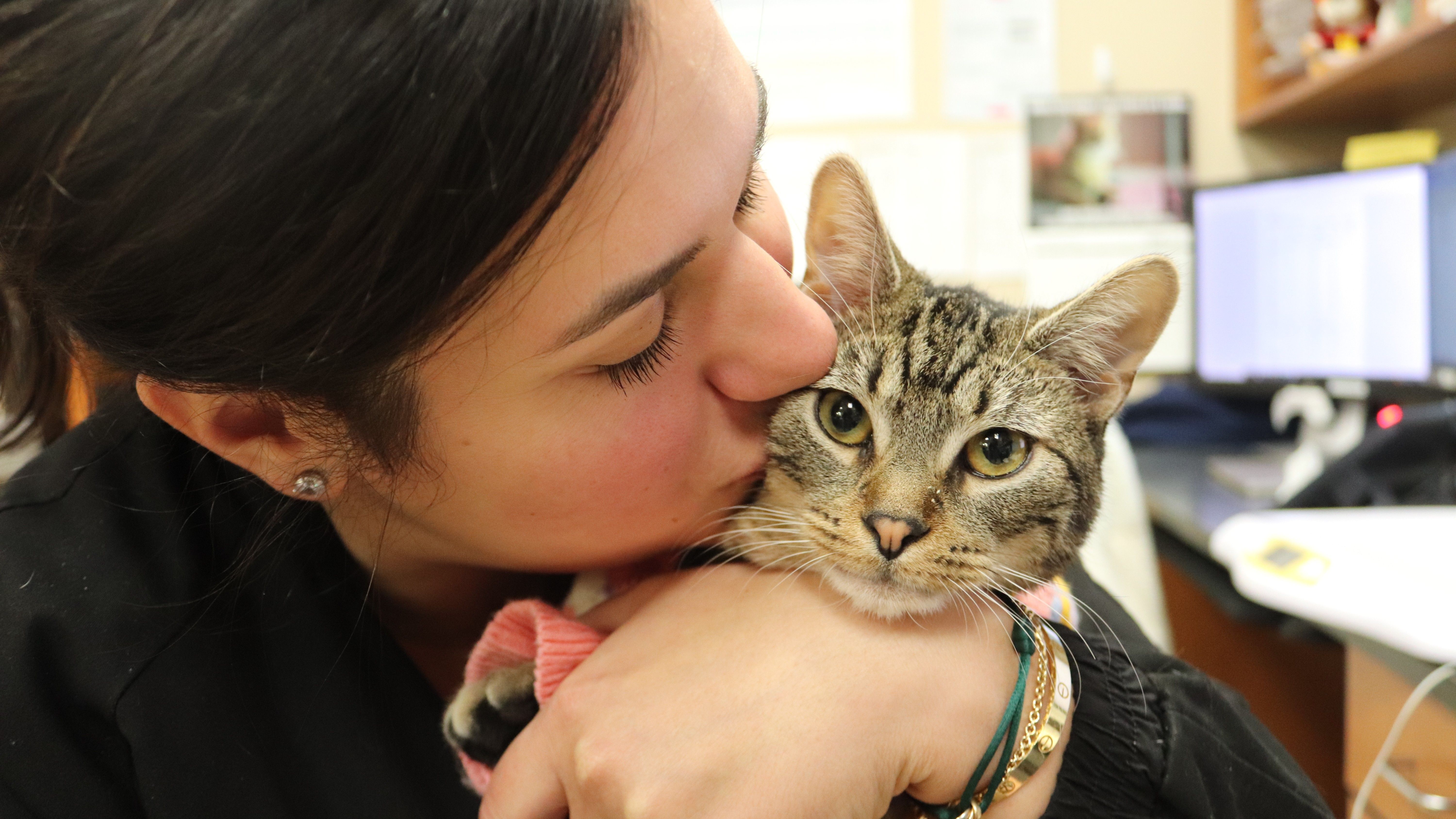 Greater Staten Island Veterinary Services