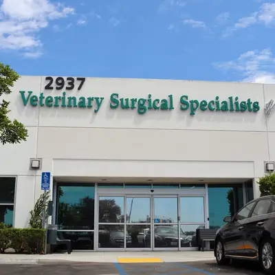 Veterinary Surgical Specialists