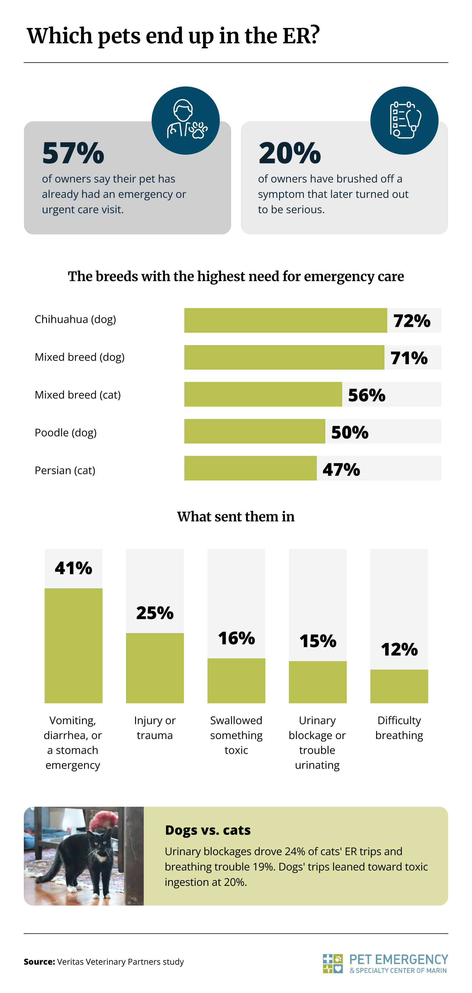 Infographic ranking the California pet breeds with the highest need for emergency care and the most common causes of local pet ER visits.