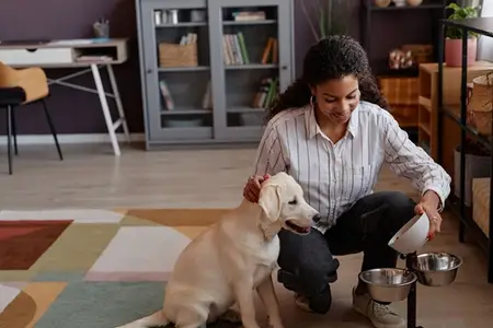Megaesophagus in Dogs: When It Becomes an Emergency