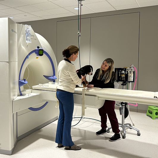 Two women assist a dog onto an MRI machine table in a veterinary clinic.
